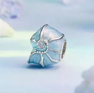 Charm Perle Muschel 925 Silber Zirkon Steinchen - Passt auch für Pandora Armband - Bild 1 von 3