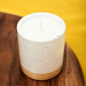 Botanica Autumn Sunset Candle Alltrue Ltd Edition ceramic 100% soy wax - Picture 1 of 5