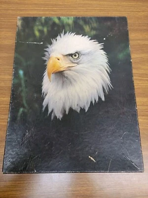 Vintage Springbok Puzzle American Pride Eagle 500 Piece Complete - Image 1 of 2