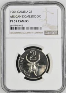 Gambia 2 Shillings 1966 African Domestic Ox NGC PF 67 Cameo - Picture 1 of 2