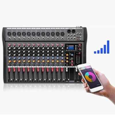 Hridz 12 Channel Mixing Console Live Studio Audio DJ Mixer Sound Board USB Inter - Image 1 of 4