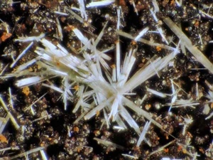 FERROSTRUNCITA Y BERAUNITA de Cornualles, Reino Unido * MINERALES DE FOSFATO RAROS * 4,4 cm - Imagen 1 de 8