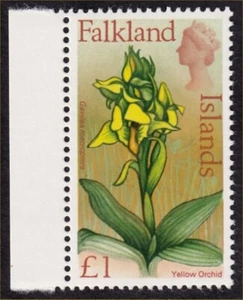 Falkland Islands, 1968 £1 Flowers. SG 245 Superb Unmounted Mint MNH Marginal - Picture 1 of 2