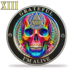 13 Years AA Sobriety Coin Alcoholics Anonymous Recovery Medallion Sobriety Gifts - Picture 1 of 11