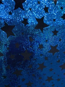 JERSEY ELÁSTICA NEGRA CON LENTEJUELAS BORDADAS AZULES TELA ESTRELLA (60 in) Vendido BTY - Imagen 1 de 1