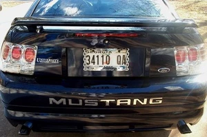 Mustang Stainless Steel Inserts (94-98)  - Bild 1 von 1