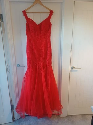 Stunning Red Lace Ellie Wilde Christmas/Prom Maxi Dress, Size 10 - Image 1 of 4