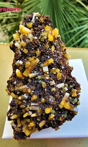► WULFENITE MIMETITE CM. 7.76 x CM 4.35 x CM 2.14 MEXICO QUALITA' AAAA+ ◄ - Bild 1 von 8