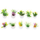 10 Pcs Table De Sable Mini Plantes En Pot Plastique Pots Fleurs À Mini-Pots