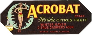 *Original* ACROBAT Circus Tricks Dog Girl Florida Citrus Crate Label NOT A COPY! - Picture 1 of 1