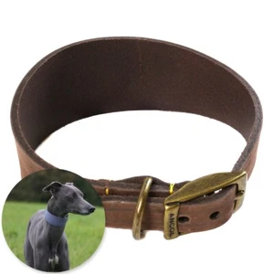 BROWN SUEDE LEATHER WHIPPET DOG COLLAR Wide Adjustable Buckle Identity Neck Band - Picture 1 of 4