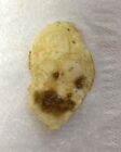 Potato Chip with a Double-Sided Face, Rare and Unique