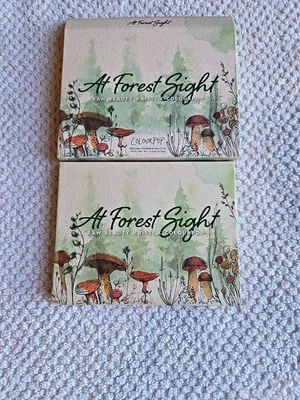 Raw Beauty Kristi x ColourPop At Forest Sight Eyeshadow Palette NIB SOLD OUT  - Image 1 of 3