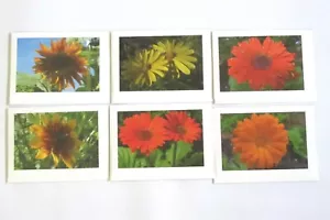 Set of 6 Assorted Flower Nature Photo Greeting Cards Blank Cards Great Gift! - Picture 1 of 2