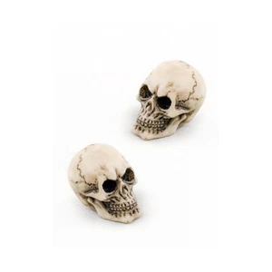 Mini Calavera 1" Juego de 2 Miniatura Fairy Garden LS Fa113 - Imagen 1 de 6