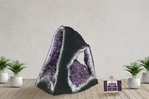 Geoda de amatista natural grande 42 lb catedral racimo de cristal muestra curación - Imagen 1 de 21