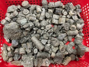 4 LB Lot Crinoid COLLECTOR Rock Fossil Discover UNIQUE Specimen RARE DISPLAY Gr1 - Picture 1 of 9