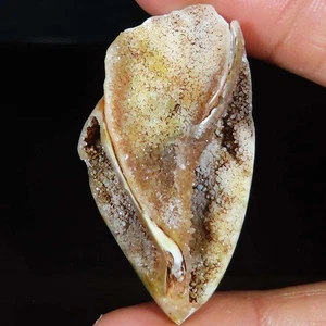 (26X47X18 MM) 79.15 Carat. NATURAL FOSSIL SNAIL DRUZY CABOCHON LOOSE GEMSTONE - Foto 1 di 6