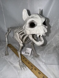 CAT SKELETON WITH POSEABLE HEAD Mouth Halloween Prop Hissing 14” LONG - Picture 1 of 14