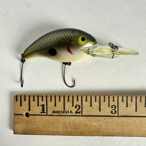 Vintage Rebel Deep Wee R Crankbait Fishing Lure Tennessee Shad - Picture 1 of 3