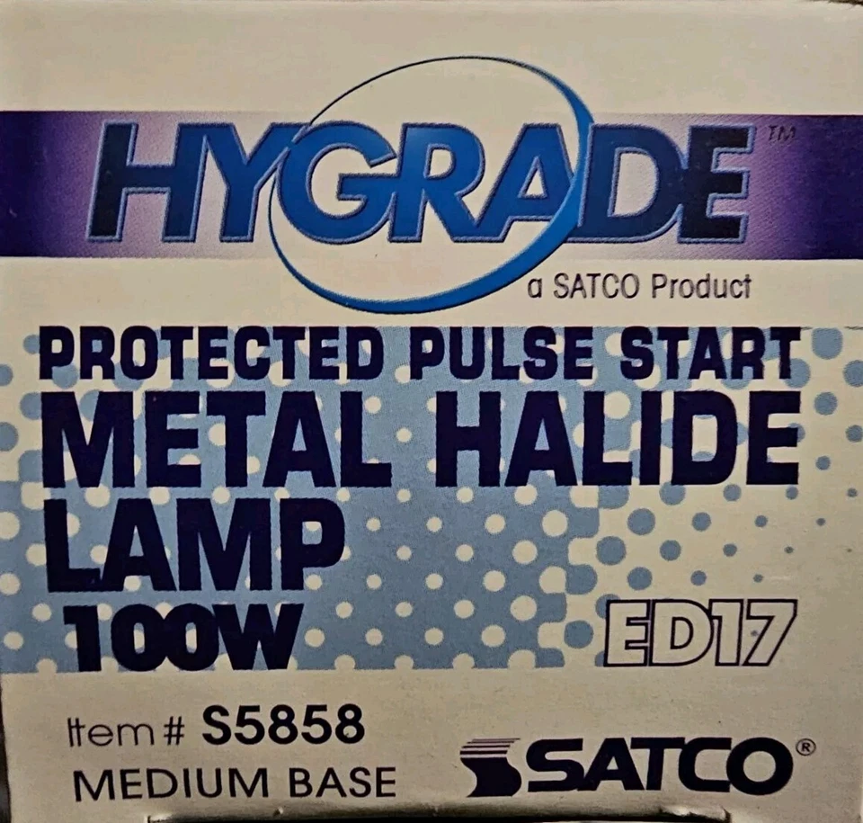 SATCO Lighting S5858 Single 100 Watt Ed17 Shaped Medium (e26) - Clear