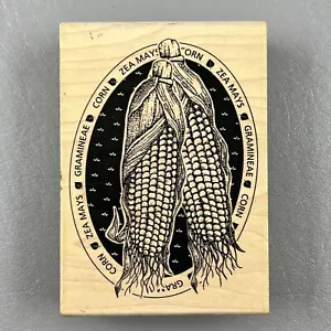 Stampington & Company 3.25”x4.5” M4278 Large Corn Wood Mounted Rubber Stamp 1996 - Picture 1 of 6