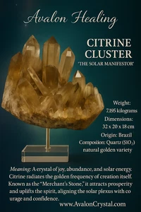 🌞 CÚMULO CITRINO “EL MANIFIESTO SOLAR” Peso: 7.195 kilogramos - Imagen 1 de 18