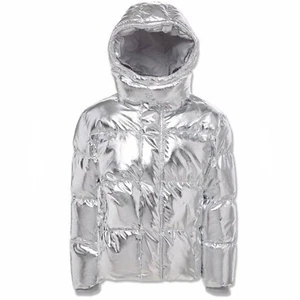 Jordan Craig Metallic Hooded Bubble Toddler Jacket Silver 91542MK-SILVER - Picture 1 of 4
