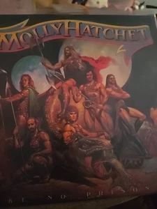 MOLLY HATCHET - TAKE NO PRISONERS - ROCK VINYL LP vg+ - Picture 1 of 5
