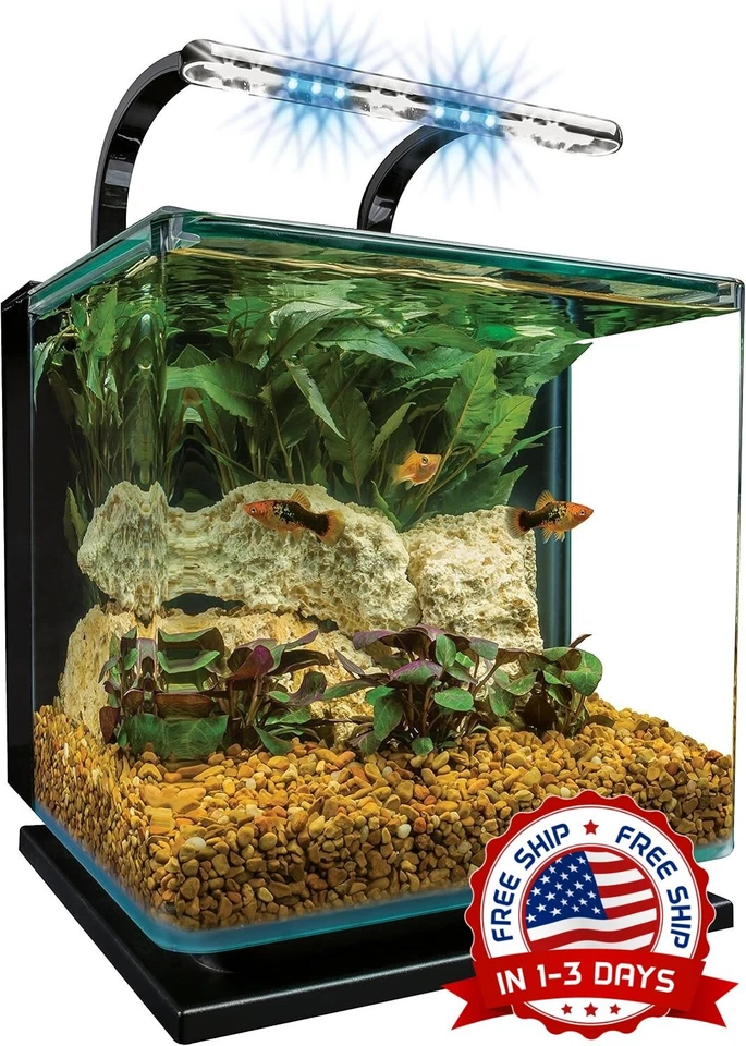 Kit De Acuario De 3Galones,Esquinas De Vidrio Redondeadas,Incluye IluminaciónLED - Image 1 of 4
