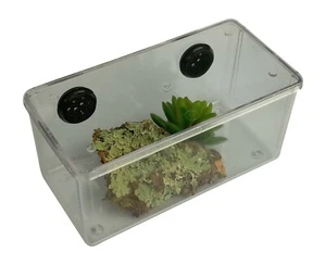 TARANTULA INSECT REPTILE MINI VIVARIUM/TANK/CAGE, BACK VENTED - Picture 1 of 3