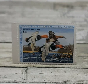 1987-88 US Migratory Bird Hunting & Conservation Duck Stamp $10 - Redhead Ducks - Bild 1 von 4