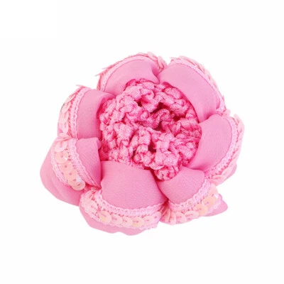 Red de pelo elástica para patinaje de danza de ballet cubierta de moño con lentejuelas y ganchillo ' Foto 1 de 4