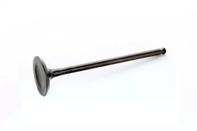 2001-2013 Yamaha YZ250F WR250F nova válvula de admissão OEM 5NL-12112-30 5NL-12112-10 - Imagem 1 de 4