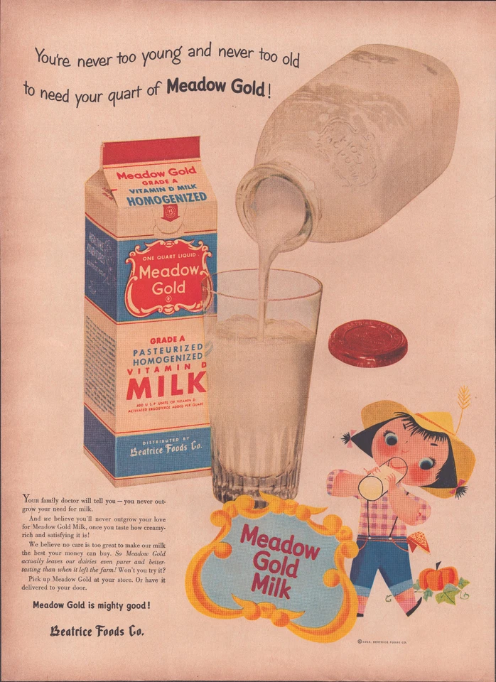 Anuncio impreso vintage Meadow Gold Milk 1953 - Chica feliz con calabaza Foto 1 de 1