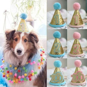 Pet Dog Cat Sequins Birthday Hat Mini Crown Headwear Party Costume Clothing Gift - Picture 1 of 16