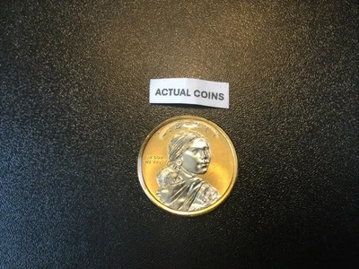 2015 P Sacagawea Platinum & Gold Highlighted $1 Coin - Image 1 of 3