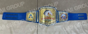 UT ARLINGTON MAVERICKS CHAMPIONSHIP BELT 2MM BRASS - Picture 1 of 5