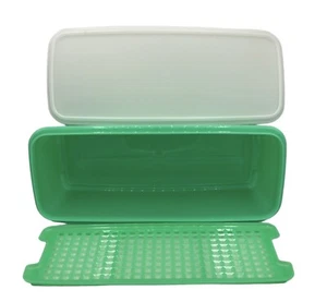 Tupperware Brotbehälter Sellerie Gemüse Crisper Sparer Jadeitgrün #782 Vintage - Bild 1 von 7