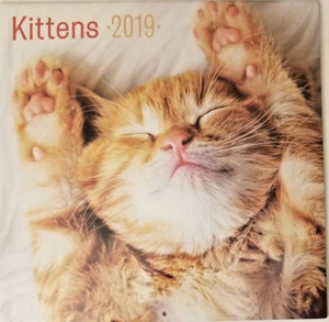 Kittens 2019 16 Month Wall Calendar 12"X24" w - Picture 1 of 2