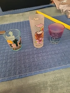 DREI VINTAGE SCHNAPSGLÄSER: BONITA SPRINGS, KEY WEST, ARIZONA - Bild 1 von 11