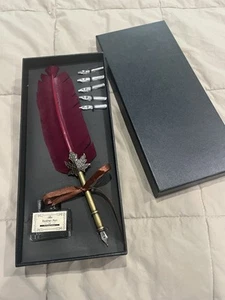 NUOVO set penna piuma - penna stilografica calligrafica con 6 pennini e flacone di inchiostro vuoto - Foto 1 di 1