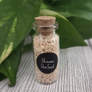 Star Sand Okinawa Japan Ishigaki Island Star Sand 10ml Glass Bottle - Picture 1 of 4