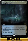 Morphic Pool | FOIL Extended Art | NM - Commander Legends: Baldur's Gate - MTG