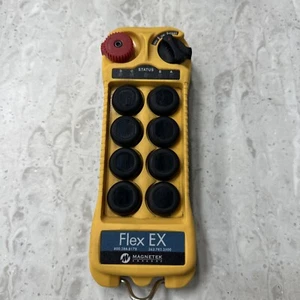 Elevador grúa aérea Magnetek FLEX radio control remoto 8 botones - Imagen 1 de 10