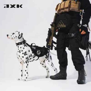 Figura modelo dálmata JXK 1/6 se puede combinar con muñecas de soldado juguetes regalo de Navidad - Imagen 1 de 3