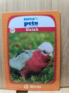 RSPCA Pets ๐ #61 GALAH Trading Card ๐FREE POST - Picture 1 of 2