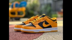 Nike Air Dunk Low Golden Rod Bumblebee Pittsburgh Steelers DD1391 004 Talla 10 - Imagen 1 de 11