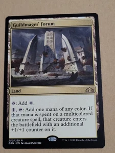 MTG Gildenmagierforum Gilden von Ravnica 250/259 Regular Rare - Bild 1 von 9