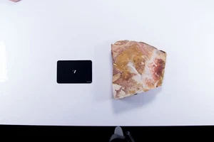 Glossopteris Fossil Tongue Leaf Plate [FOSSIL FAUNA 299 mill yrs old] - Picture 1 of 12